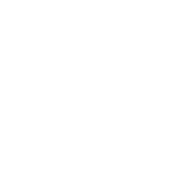 Boston-Consulting-Group-logo